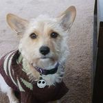Janet Lewis McClain - @janet.lewis.mcclain - Instagram