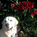 Pam Lewis McDaniel - @pmcdaniel11 - Instagram