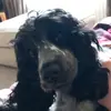 Lewis Mcdowell - @lewis.mcdowell - TikTok