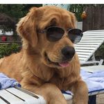 Lewis - @lewis_nash__ - Instagram