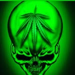 lewis newell - @lewisnewell78 - Instagram