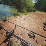 Lewis Langmaid-Oakes - @langmaidoakes_carper2 - Instagram