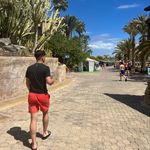 Lewis Oakes - @lewisoakes - Instagram