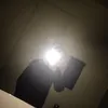 Louis Ostermeyer - @louis.ostermeyer - TikTok