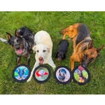 Bristol, Mack, Ellie and Goose - @lewispuppack - Instagram
