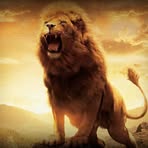 Lewis Patel - Facebook