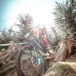 Lewis Patterson - @lewis.patterson85 - Instagram