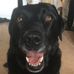Lewis Pearson - Facebook