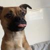 lewis.peace - @lewis.peace - TikTok