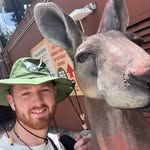 Lewis Pendleton - @lewis.pendleton - Instagram