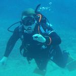 LP - @lewispepperell - Instagram