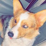 Pepper Lewis - @mr.pepper.lewis - Instagram