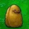 Hola🦭 - @lewis__person - TikTok