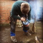 Lewis Plummer - @lplums - Instagram