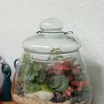 Lewis Rojas - Facebook