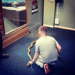 Lewis Rothwell - @lewis.rothwell - Instagram