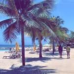 Saul - @_saul_lewis_ - Instagram