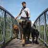 Saul Lewis Grogan - @saullewisgrogan - TikTok