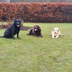 lewis graham seaton - @lewisgrahamseaton - Instagram