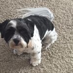 Lewis Snyder - @lewis.snyder.969 - Instagram