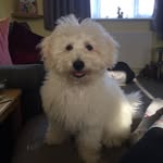 Lewis Stanton - @lewis_attacker2017 - Instagram