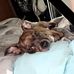 Brianna Stidam - Facebook