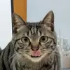 Lewis Stratton - @lewis.stratton - TikTok