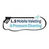 Lewis Street - @lsmobilevaleting - TikTok