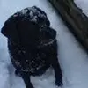 Debz Lewis-Stringer - @debz.lewisstringe - TikTok