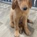 Lewis Stringer - Facebook