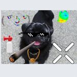 Lewis strong - @lewisstrong6460 - Instagram