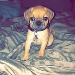 Thrasher Lewis - @thrasherlewis - Instagram