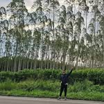 Lewis Vasquez - @lewisvasquez03 - Instagram