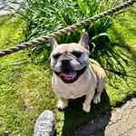 Lewis Wakefield - @l.wakefield1001 - Instagram