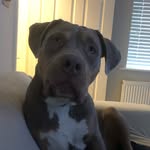 Lewis wAre - @lewisware21 - Instagram