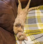 Lewis Wells - Facebook