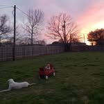 Lori Lewis Wiley - @bemalor448 - Instagram