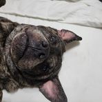 Lewis Yates - Facebook