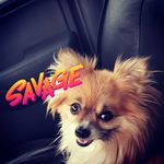 lewis yates - @lewbro2 - Instagram