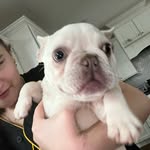 Alexis Clark - @lex_clark2009 - Instagram