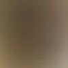 Lexi Barela - @lexi.barela - TikTok