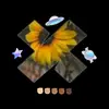 Lexiblanchard300 - @xplr.4.life - TikTok