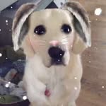 Lexi Boyer - @boyer.lexi - Instagram