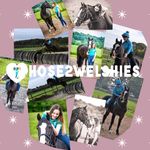 Lexi Chapman & Nicole Eaton - @those2welshies - Instagram