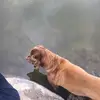 lexie.chapman - @lexie.chapman - TikTok