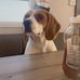 Lexi Chung - Facebook