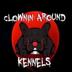 Alexis💋 - @lexi._clownin_around_kennels - Instagram
