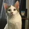 lexi dillon - @lexidillon3 - TikTok