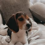 Lexi Estes - Facebook