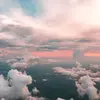 lexie - @lexie.griffith - TikTok